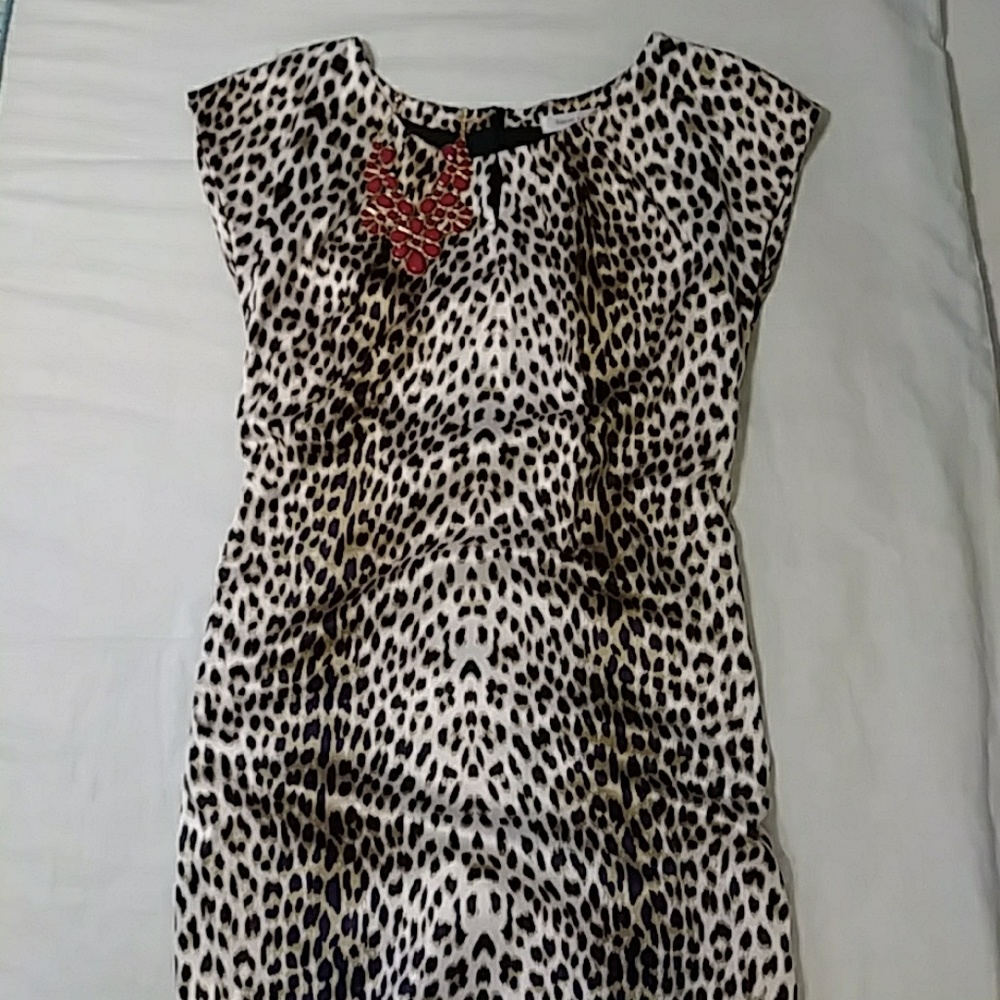 Leapord Print Dress